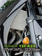 YAMAHA YZF-R25