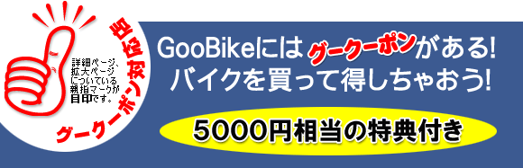 Хˤϥݥ󤬤롪Хä㤪5000ŵդ