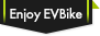 Enjoy EV Bike