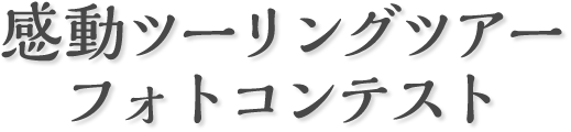 ưġ󥰥ĥեȥƥ