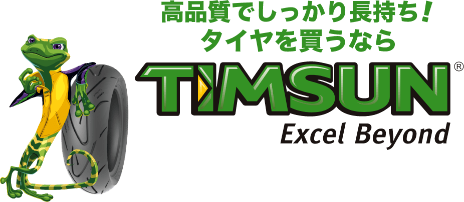 ʼǤäĹ㤦ʤTIMSUN Excel Beyond