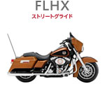 FLHX@Xg[gOCh