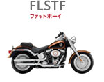 FLSTF@t@bg{[C