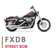 FXDB@STREET BOB