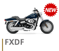 FXDF NEW