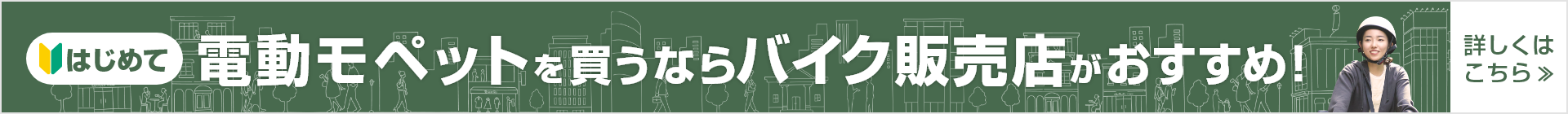 電動モペット（フル電動自転車）