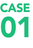 CASE01