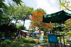 澤乃井園 清流ガーデン