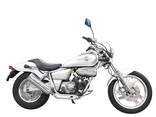 ＭＡＧＮＡ　ＦＩＦＴＹ