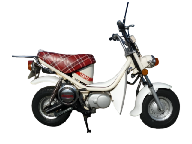 チャッピー５０