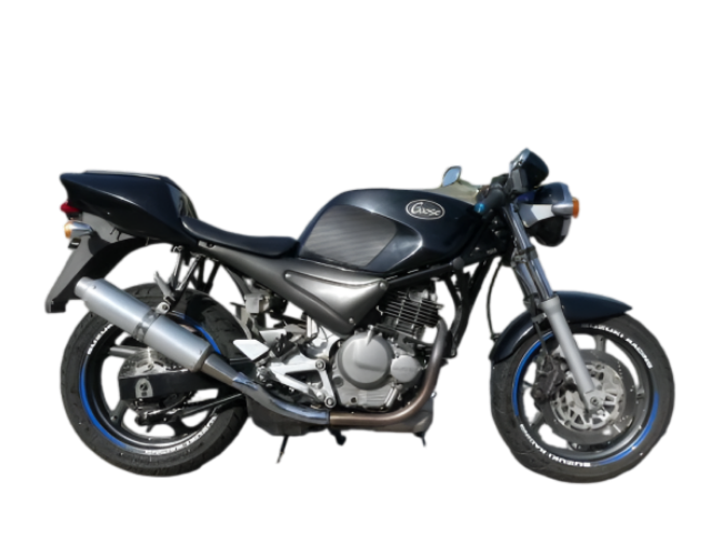 Ｇｏｏｓｅ２５０