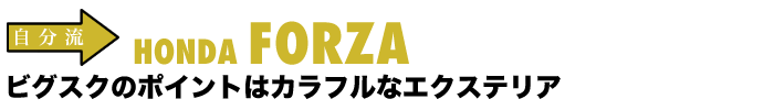  HONDA FORZA  rOXÑ|Cg JtȃGNXeA