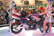 B-king 1300