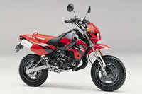 KAWASAKI KSR-II