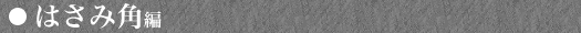 ͂݊p
