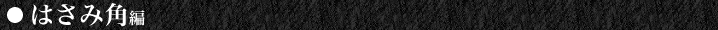 ͂݊p