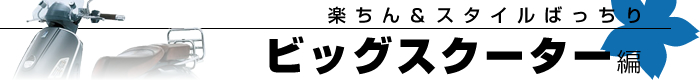 y񁕃X^C΂ rbOXN[^[