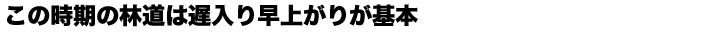 この時期の林道は 遅入り早上がりが基本