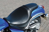 VULCAN 900 Custom