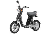 YAMAHA Passol-L