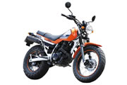YAMAHA TW225E 20th Anniversary Special Edition