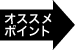 オススメポイント