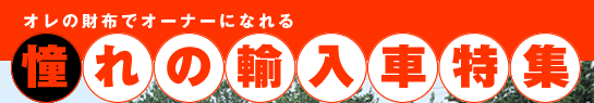I̍zŃI[i[ɂȂ ̗AԓW