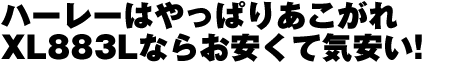 n[[͂ς肠 XL883LȂ炨ċC!