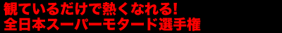 ςĂ邾ŔMȂ!S{X[p[^[hI茠