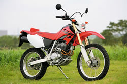 HONDA XR250