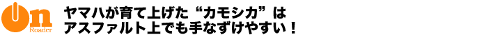 }nďグgJVJh̓AXt@głȂ₷I