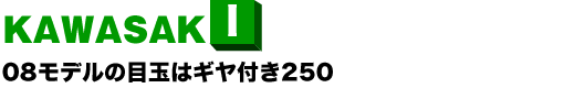 KAWASAKI 08f̖ڋʂ̓Mt250