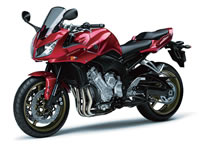FZ1^FAZER