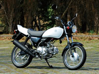 XYL GS50