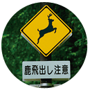 Ŕ