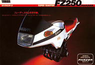 FZ250