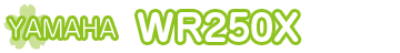 }n WR250X