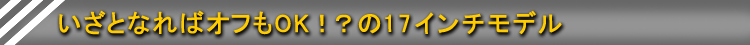 ƂȂ΃ItOKIH17C`f