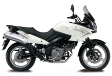 XYL V-Xg[650