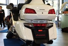 GOLDWING