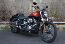 FXS Black Line