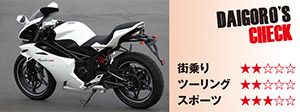 メガリ 250r 大五郎チェック