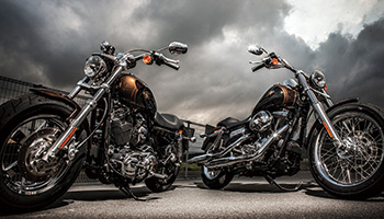 DYNA FXDC/SPORTSTER XL1200C