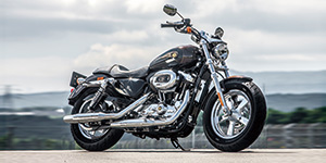XL1200C 110th Anniversary Edition