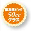 ҏWsbN50ccNX