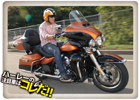HARLEY DAVIDSON FLHTK TC