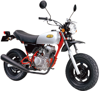 HONDA APE100