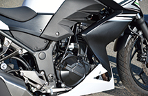 KAWASAKI Z250