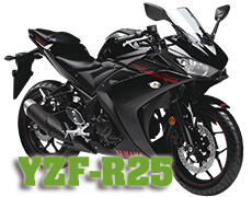 YZF-R25