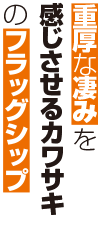 dȐ݂JTL̃tbOVbv